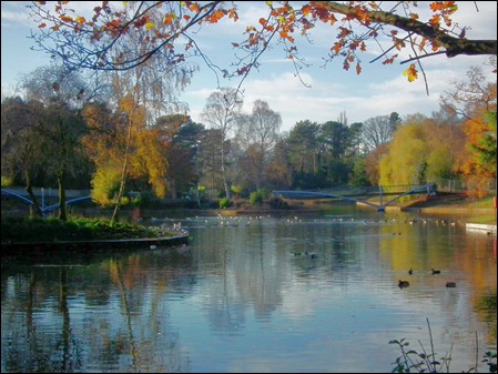 queenspark 043